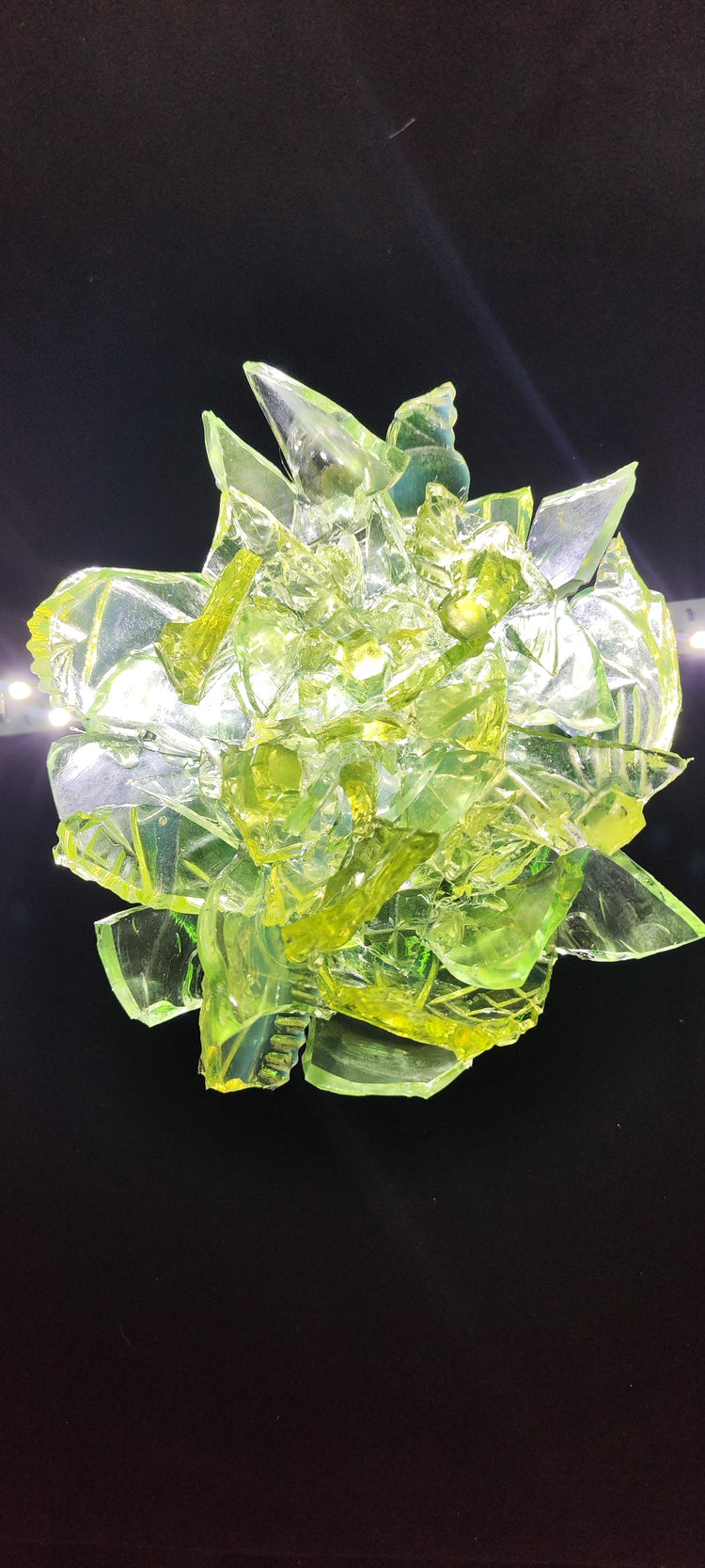 Posebne priložnosti.